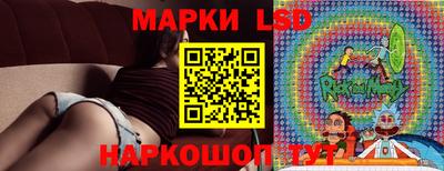 индика Будённовск