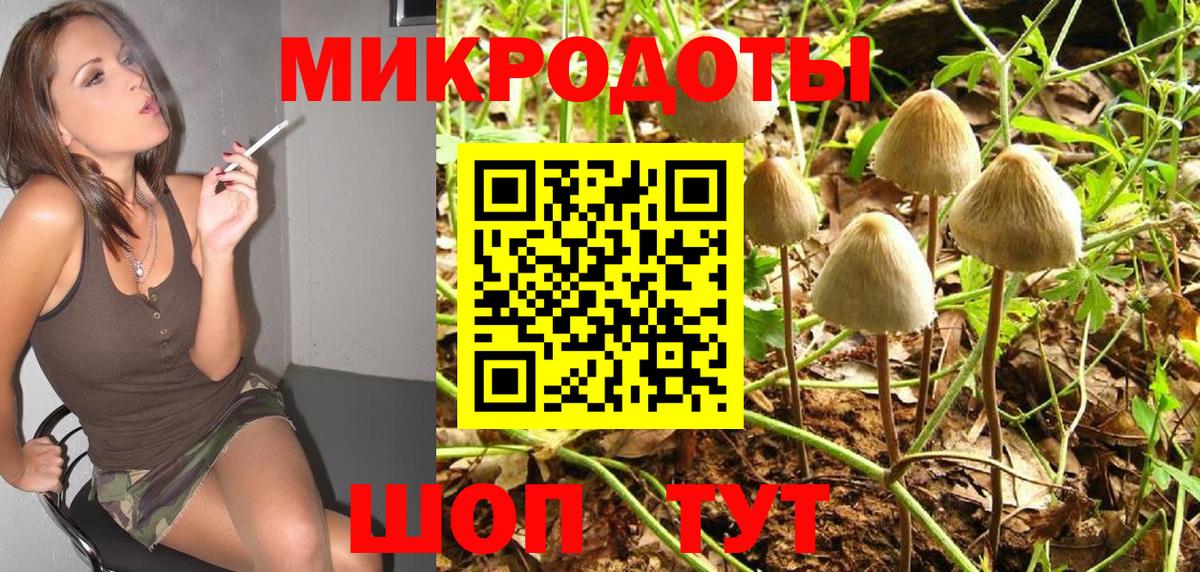 Псилоцибиновые грибы Psilocybe  Вход с VPN  даркнет сайт  Михайловск 