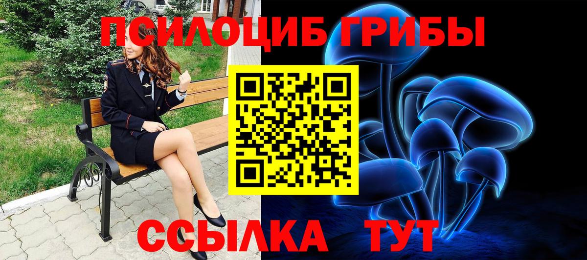 Галлюциногенные грибы GOLDEN TEACHER Михайловск